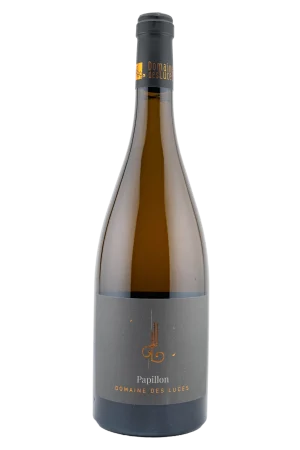 Papillon blanc 2024